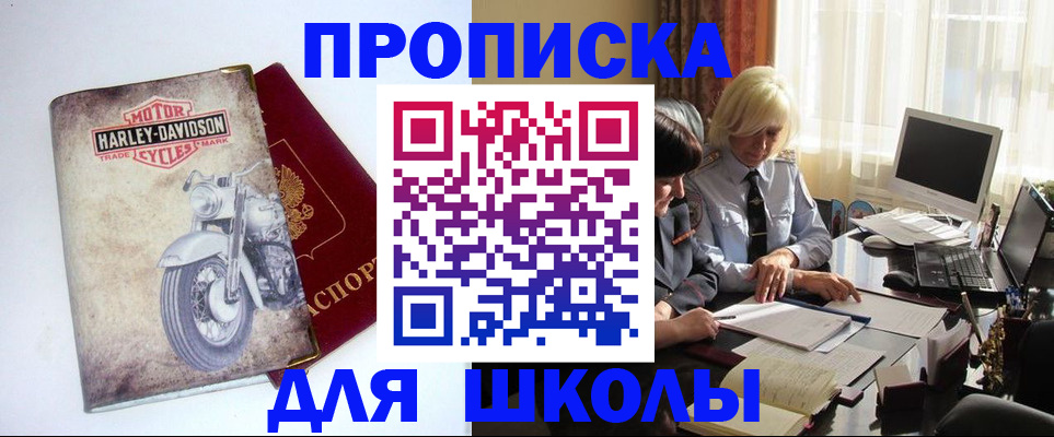 прописка штамп в Нелидово